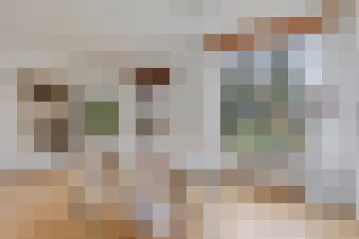 Ziggenstraat 57 Geldrop thumbnail 10