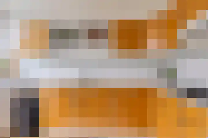 Ziggenstraat 57 Geldrop thumbnail 11