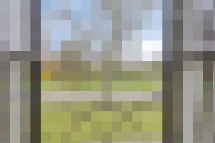 Ziggenstraat 57 Geldrop thumbnail 17