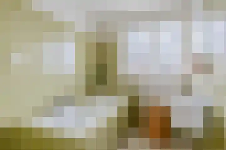 Ziggenstraat 57 Geldrop thumbnail 19