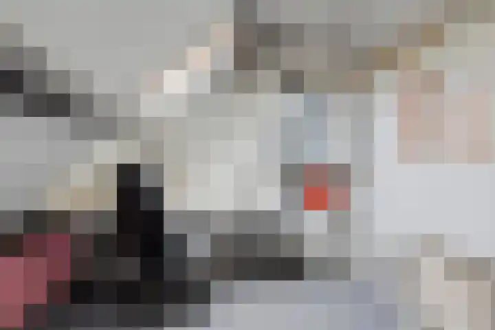 Ziggenstraat 57 Geldrop thumbnail 22