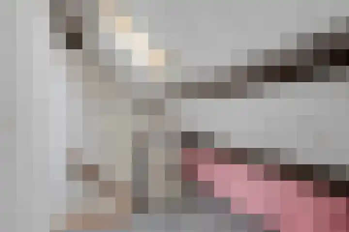 Ziggenstraat 57 Geldrop thumbnail 23
