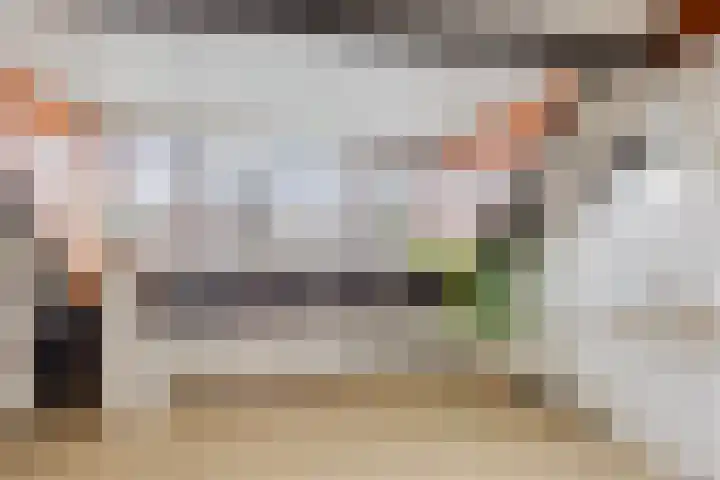 Ziggenstraat 57 Geldrop thumbnail 25