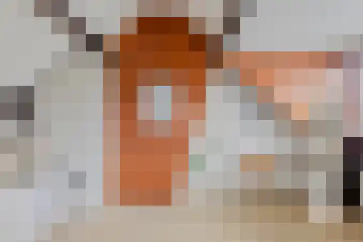 Ziggenstraat 57 Geldrop thumbnail 26