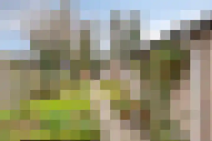 Ziggenstraat 57 Geldrop thumbnail 27