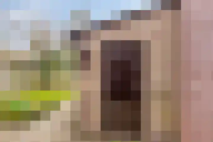 Ziggenstraat 57 Geldrop thumbnail 28