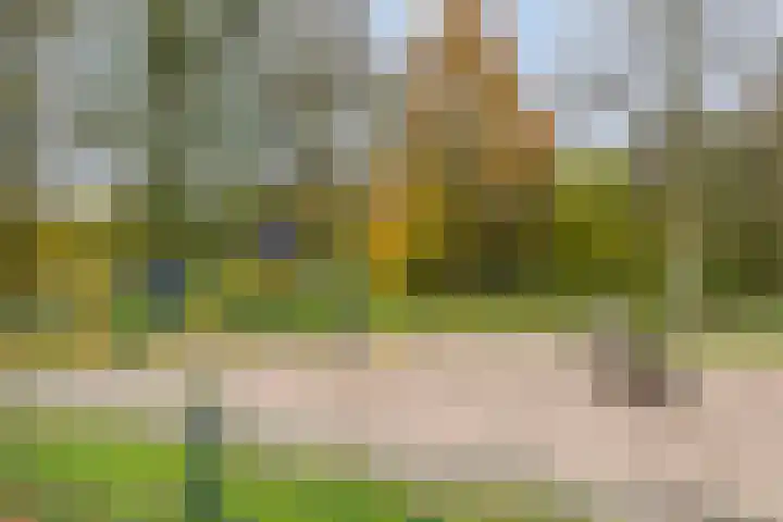 Ziggenstraat 57 Geldrop thumbnail 31