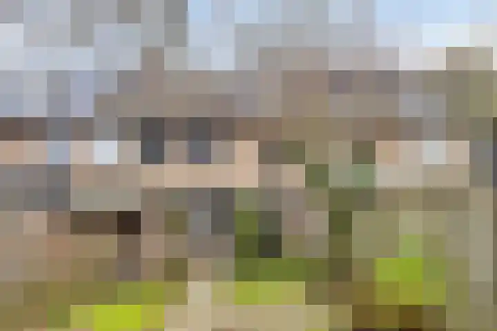 Ziggenstraat 57 Geldrop thumbnail 32