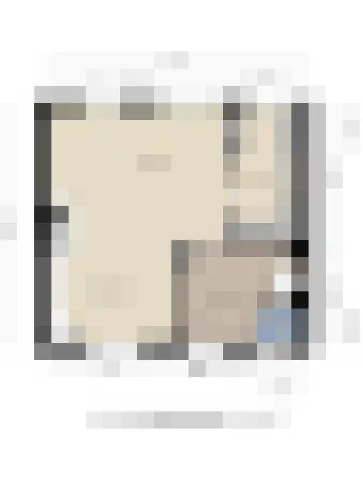 Ziggenstraat 57 Geldrop thumbnail 38
