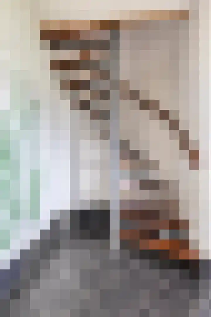 Ziggenstraat 57 Geldrop thumbnail 5
