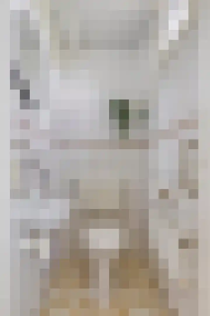 Ziggenstraat 57 Geldrop thumbnail 6