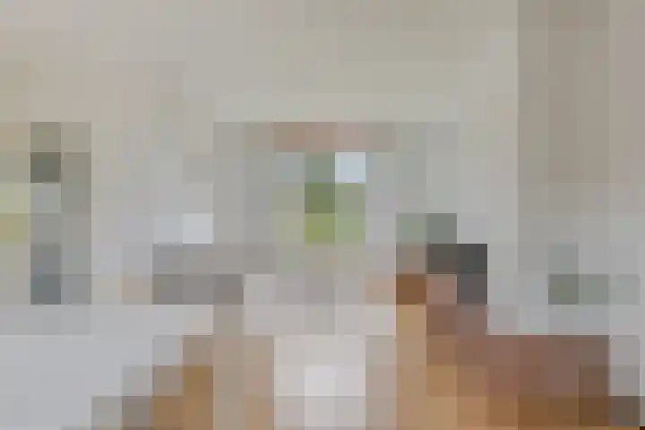 Ziggenstraat 57 Geldrop thumbnail 8