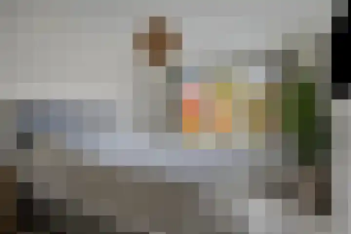 Ziggenstraat 8 Geldrop thumbnail 14
