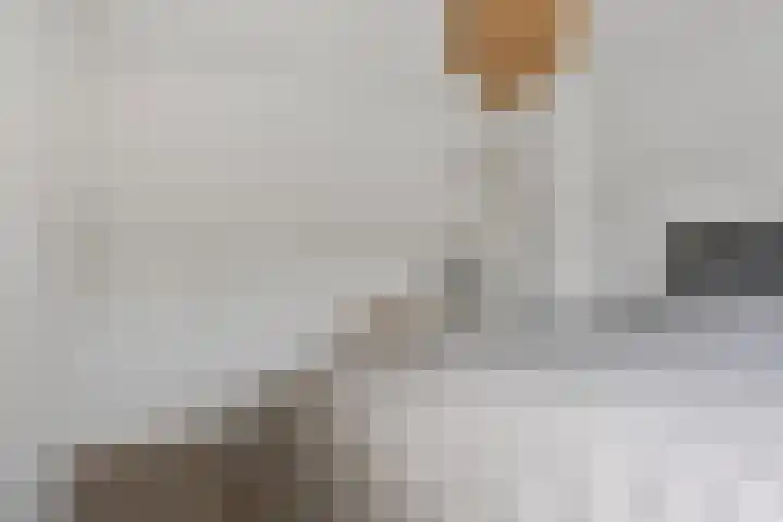 Ziggenstraat 8 Geldrop thumbnail 15