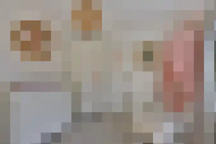 Ziggenstraat 8 Geldrop thumbnail 18