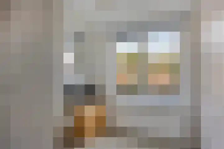 Ziggenstraat 8 Geldrop thumbnail 19