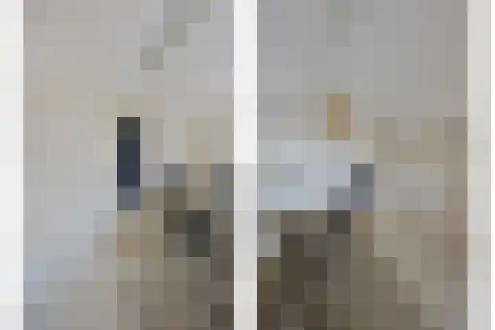Ziggenstraat 8 Geldrop thumbnail 20