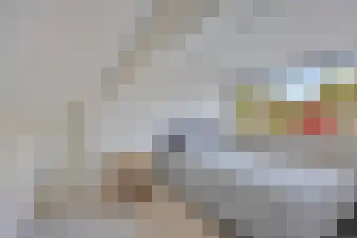 Ziggenstraat 8 Geldrop thumbnail 21
