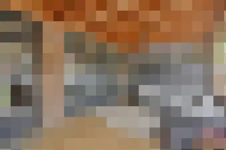 Ziggenstraat 8 Geldrop thumbnail 22