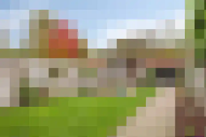 Ziggenstraat 8 Geldrop thumbnail 23