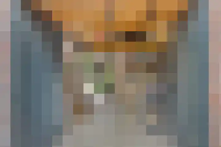 Ziggenstraat 8 Geldrop thumbnail 25