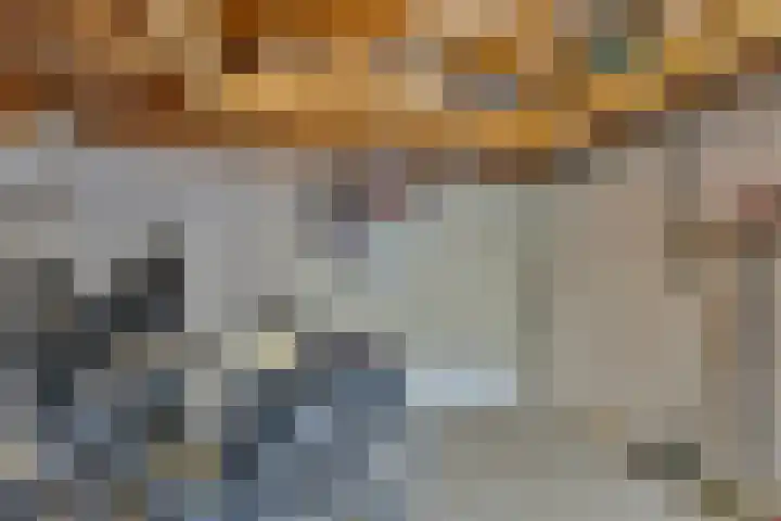 Ziggenstraat 8 Geldrop thumbnail 27
