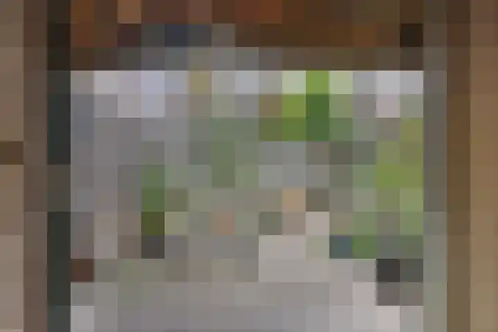 Ziggenstraat 8 Geldrop thumbnail 28