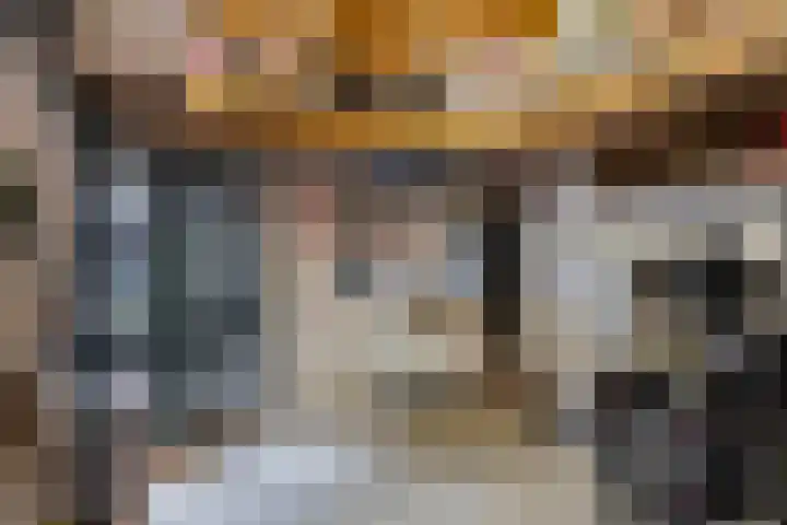Ziggenstraat 8 Geldrop thumbnail 29