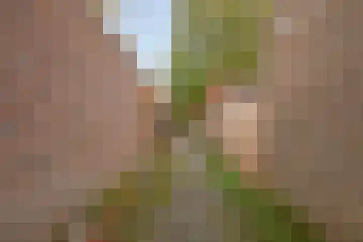Ziggenstraat 8 Geldrop thumbnail 31