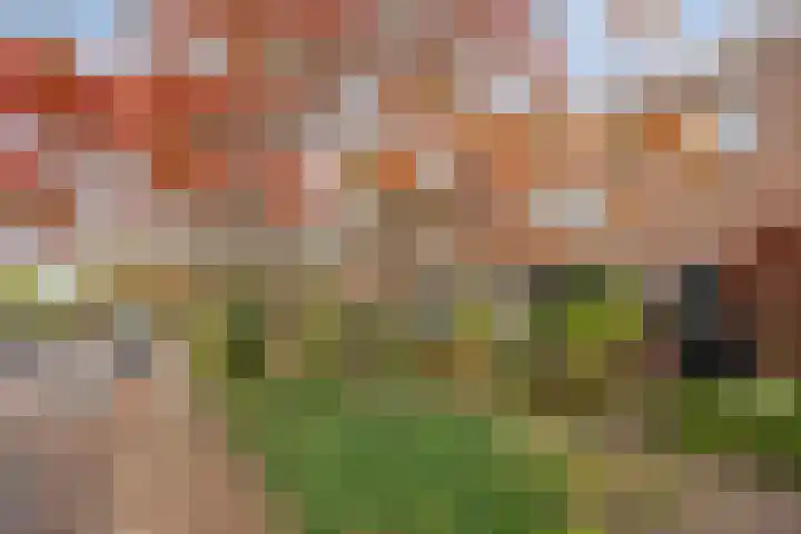 Ziggenstraat 8 Geldrop thumbnail 33