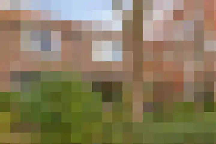 Ziggenstraat 8 Geldrop thumbnail 34