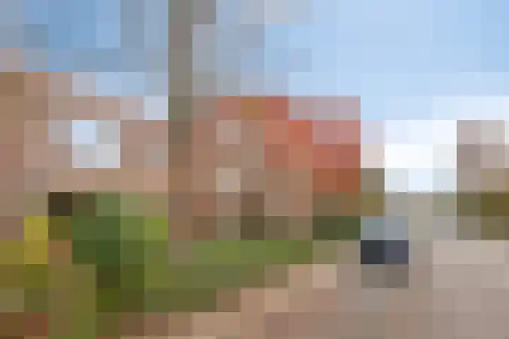 Ziggenstraat 8 Geldrop thumbnail 35