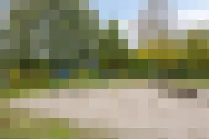 Ziggenstraat 8 Geldrop thumbnail 36