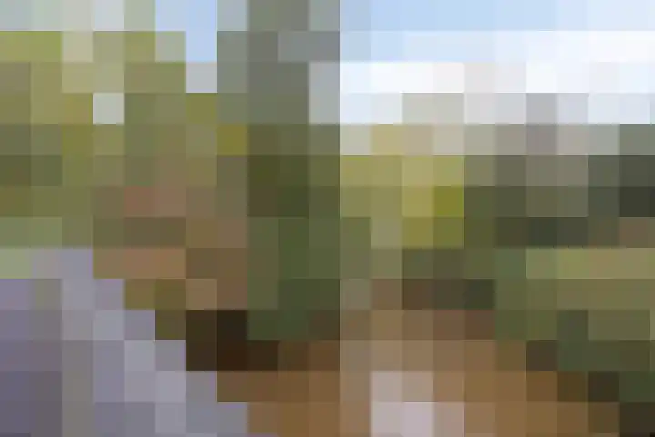 Ziggenstraat 8 Geldrop thumbnail 38