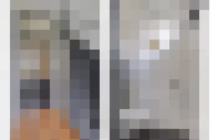 Ziggenstraat 8 Geldrop thumbnail 4