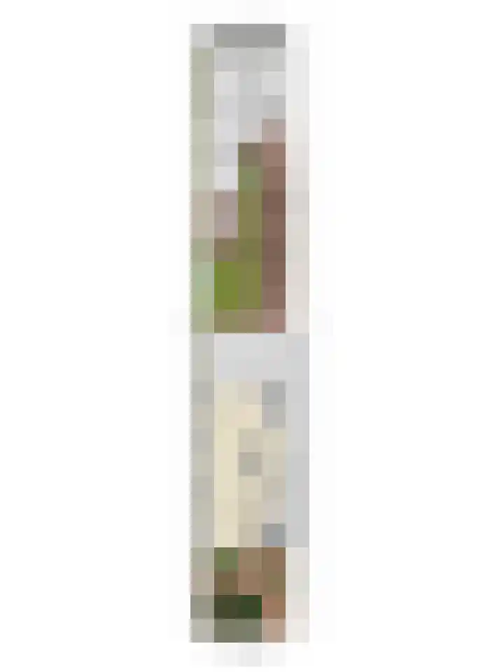 Ziggenstraat 8 Geldrop thumbnail 40