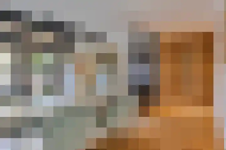 Ziggenstraat 8 Geldrop thumbnail 7