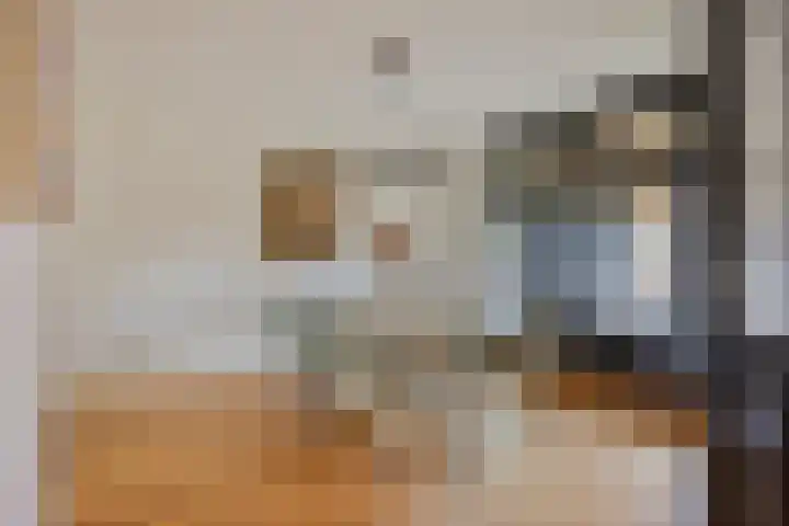 Ziggenstraat 8 Geldrop thumbnail 8