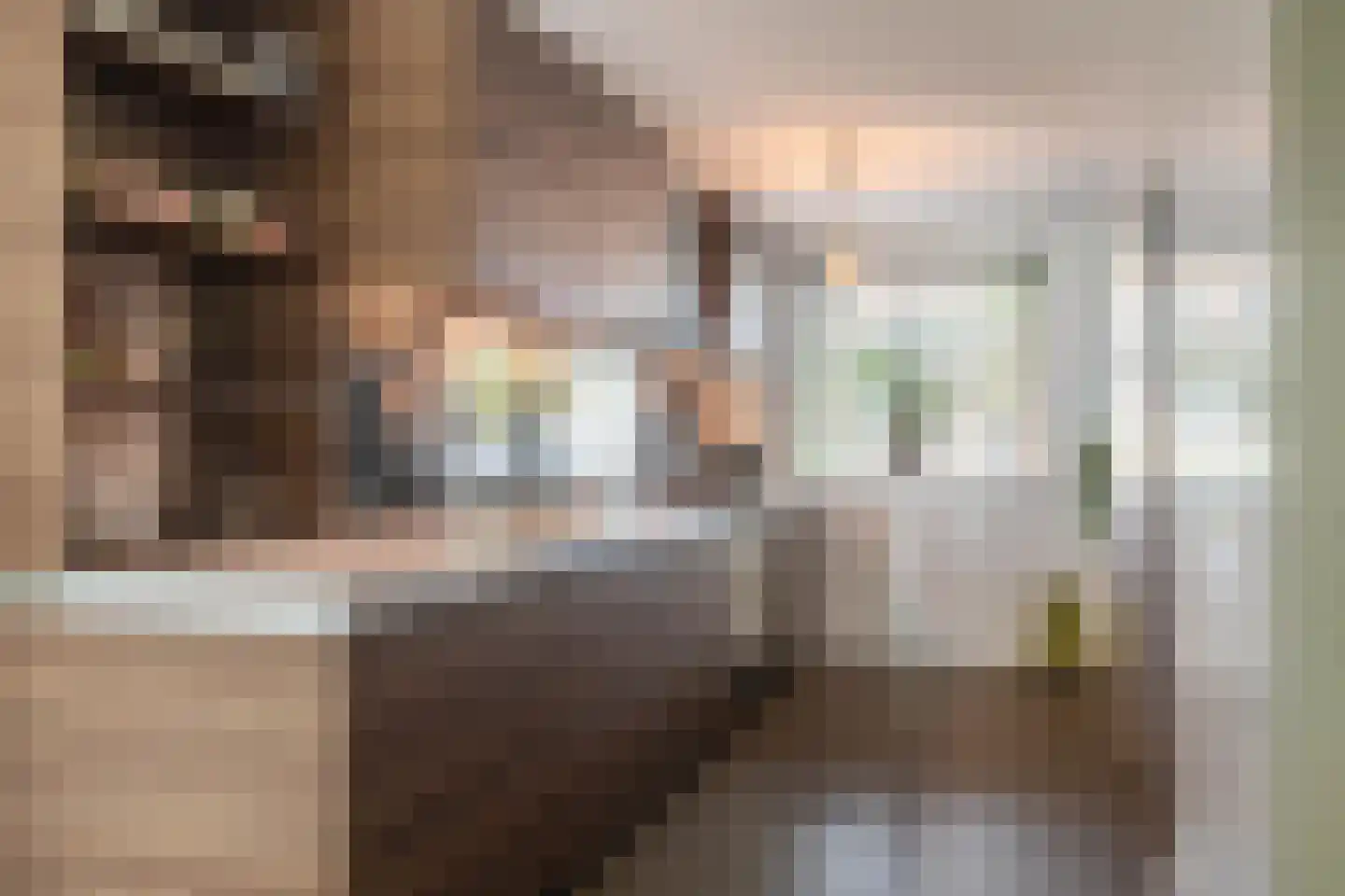 Zigt 1 Warmenhuizen thumbnail 11