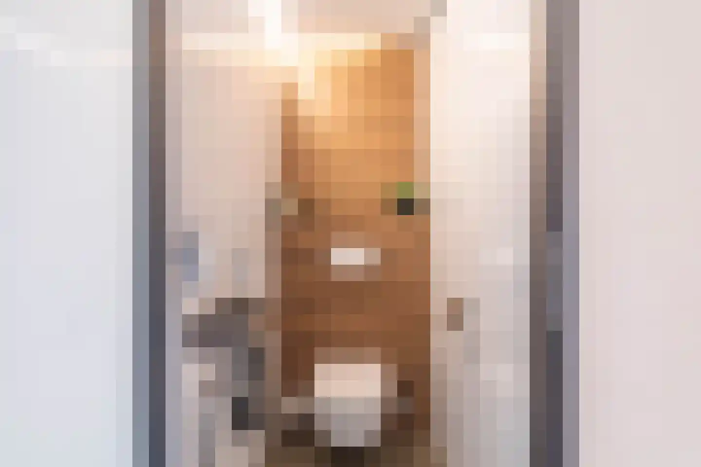 Zigt 1 Warmenhuizen thumbnail 16