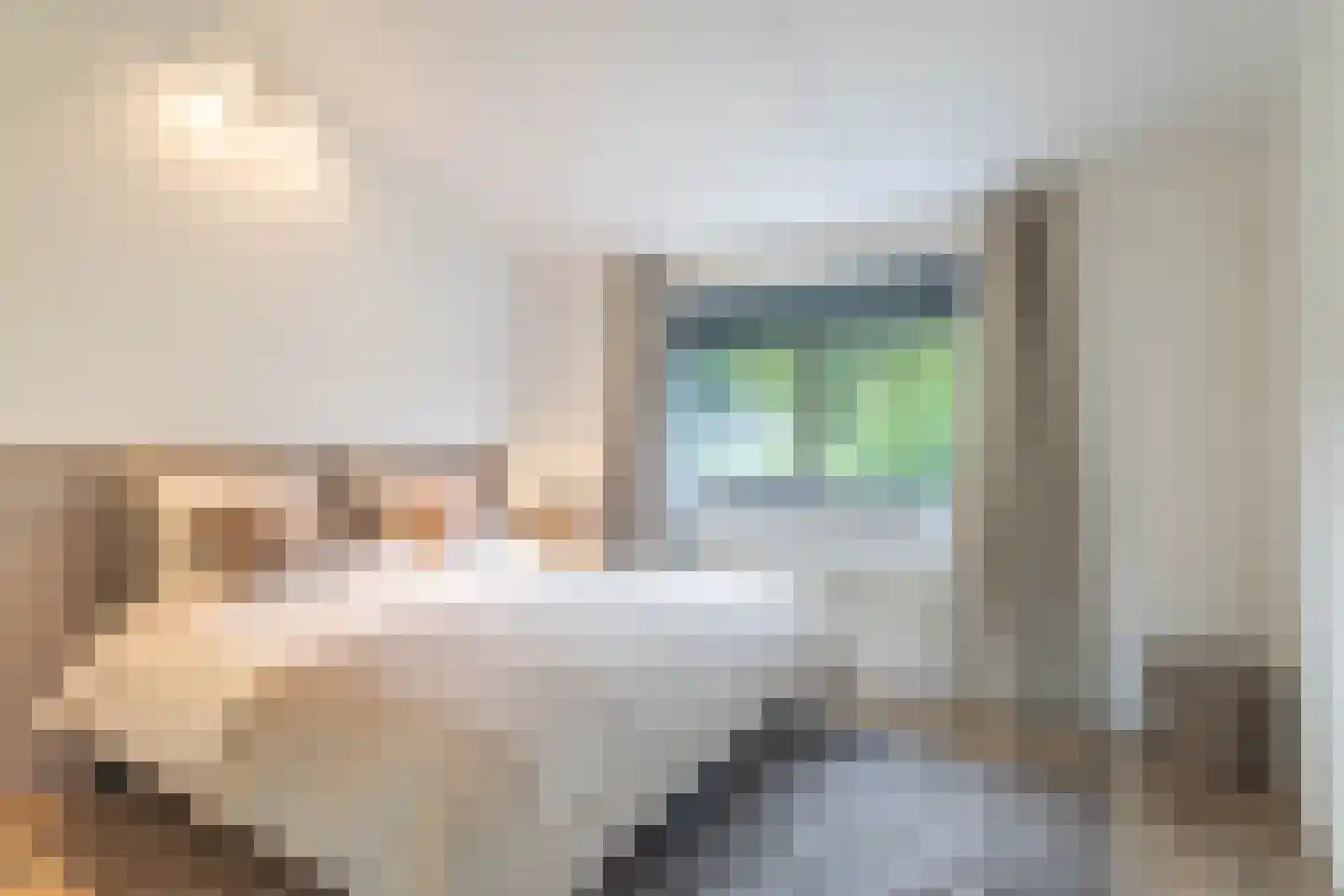 Zigt 1 Warmenhuizen thumbnail 18