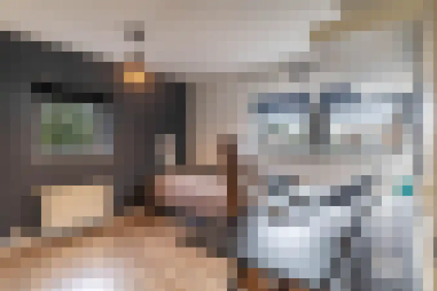 Zigt 1 Warmenhuizen thumbnail 23