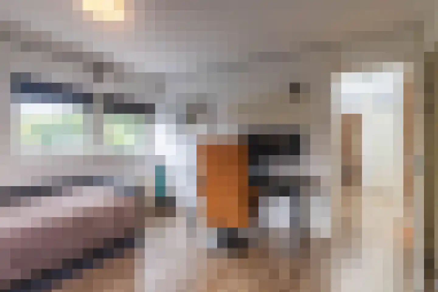 Zigt 1 Warmenhuizen thumbnail 24