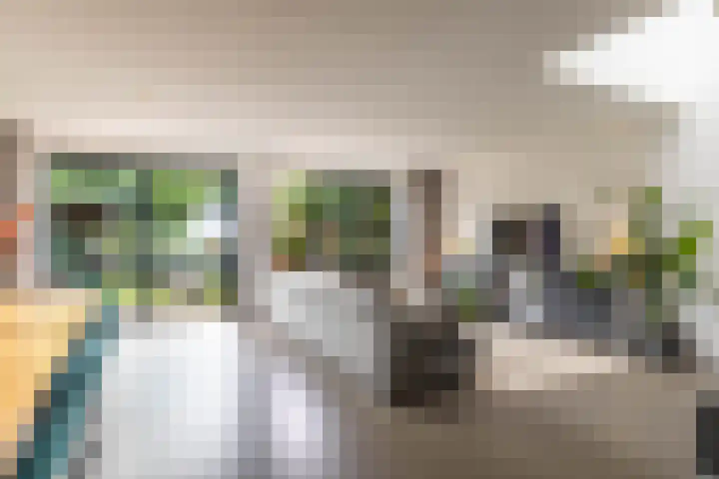 Zigt 1 Warmenhuizen thumbnail 4