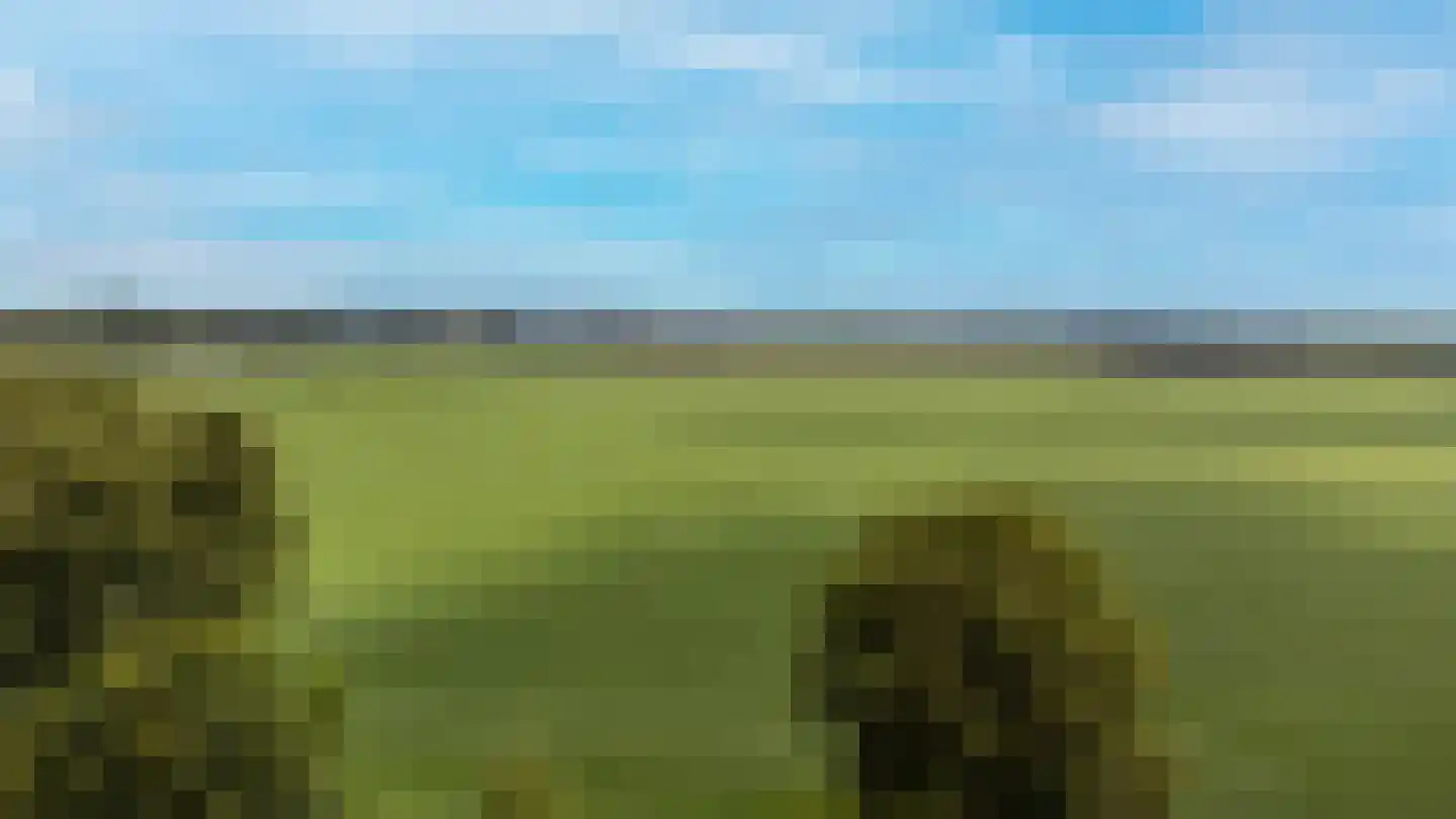 Zigt 1 Warmenhuizen thumbnail 51