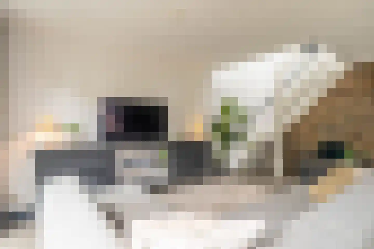 Zigt 1 Warmenhuizen thumbnail 6