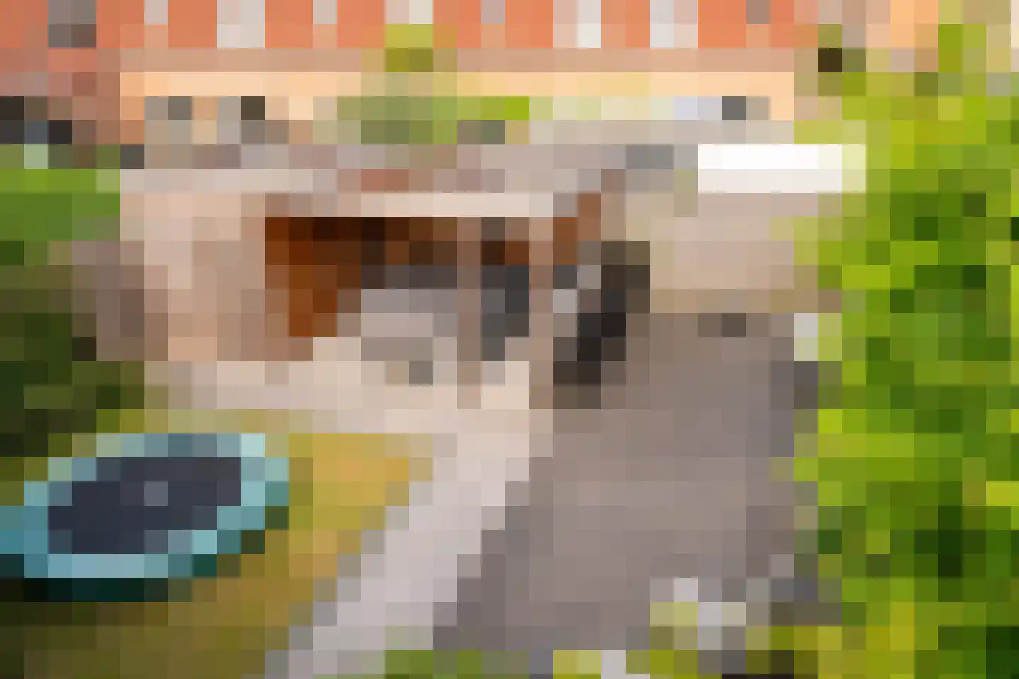 Zigt 10 Warmenhuizen thumbnail 16