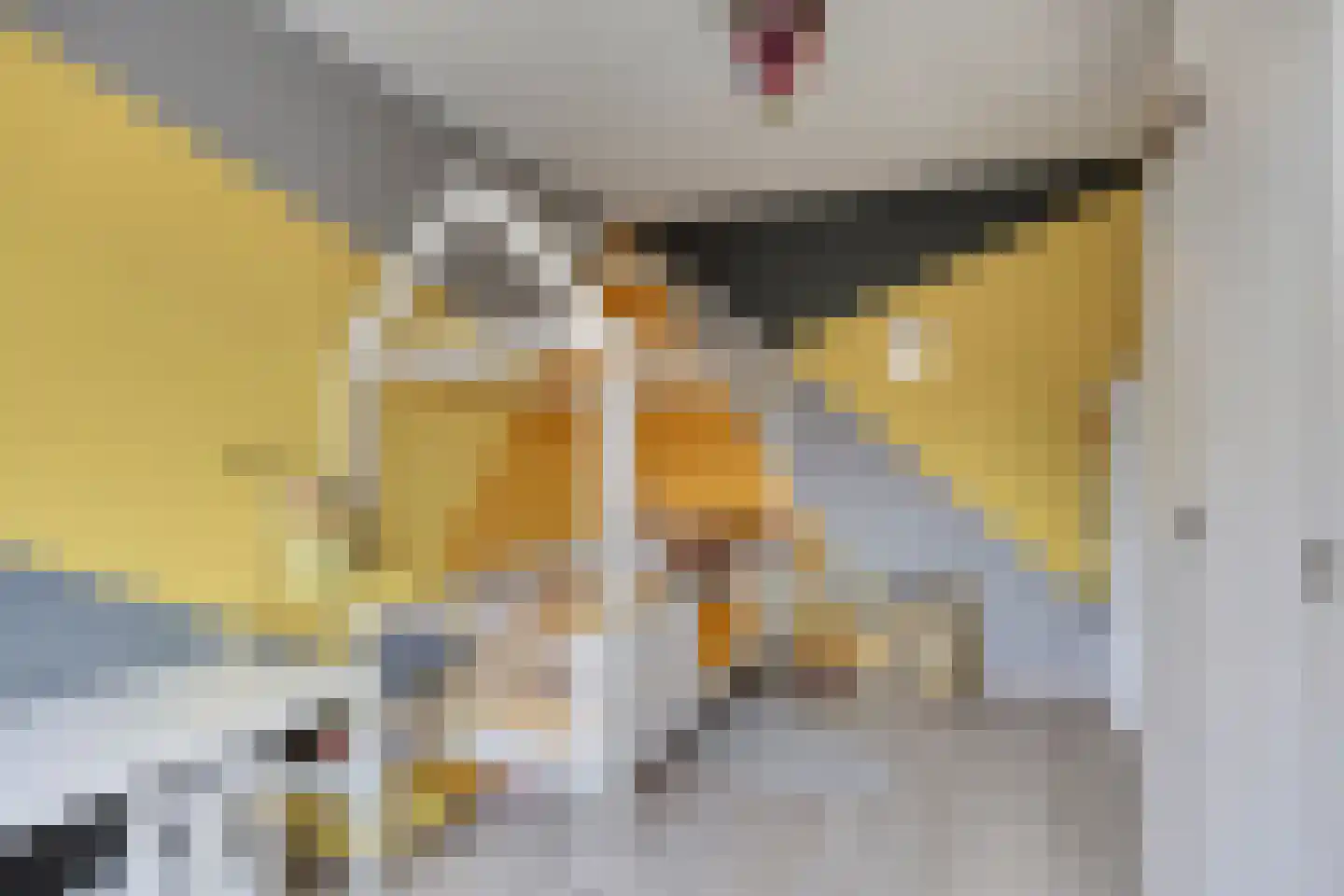 Zigt 10 Warmenhuizen thumbnail 20