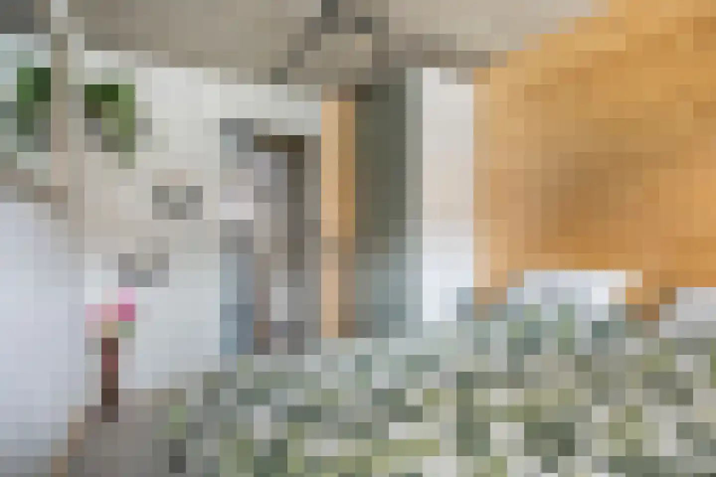 Zigt 10 Warmenhuizen thumbnail 29