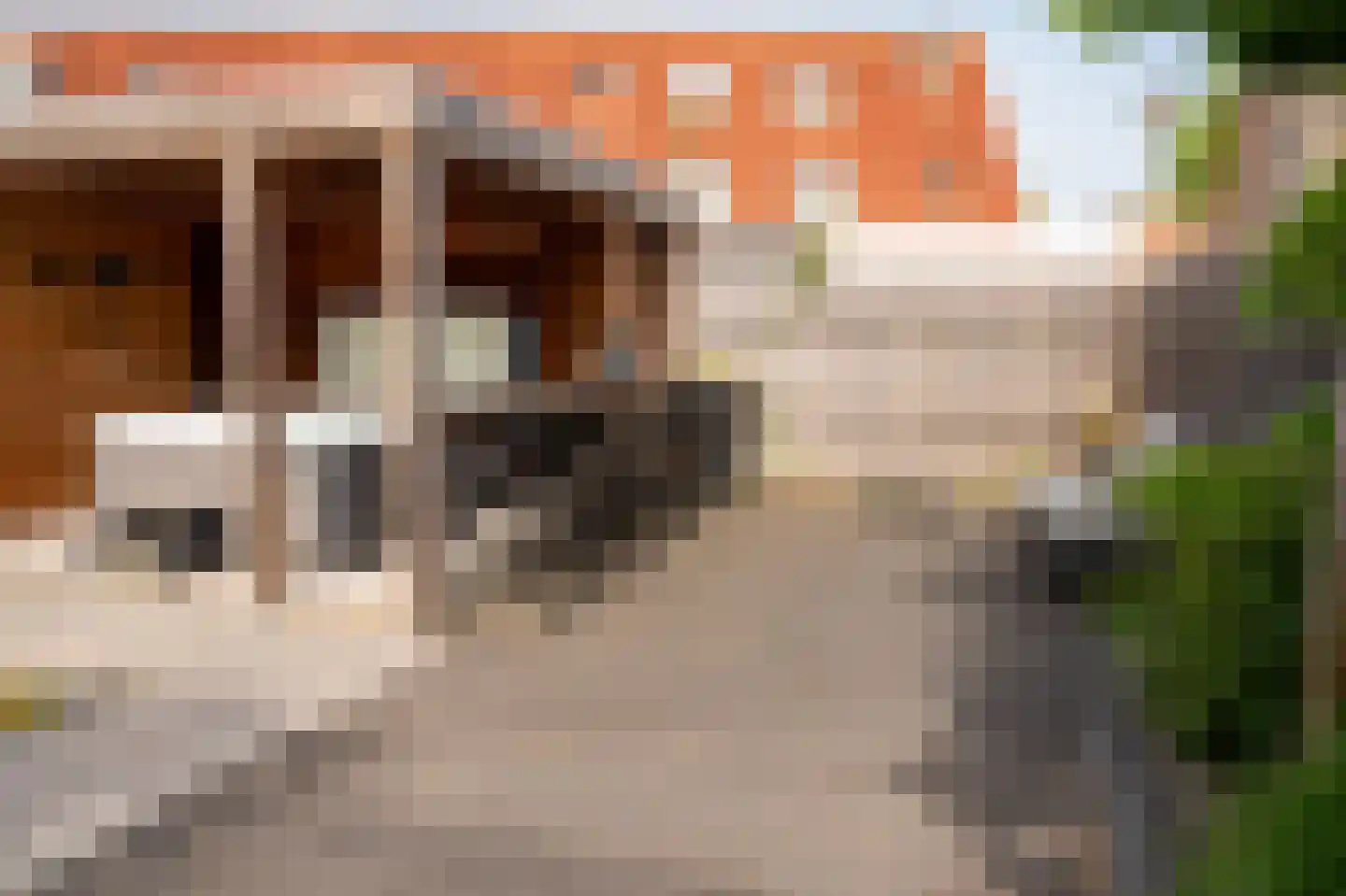 Zigt 10 Warmenhuizen thumbnail 37